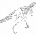 T-Rex skeleton for GEOL1031