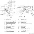 Microscope diagram for BIOL 1595
