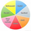 Pie chart illustrating wellness