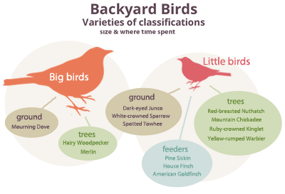 Backyard Birds: Classification