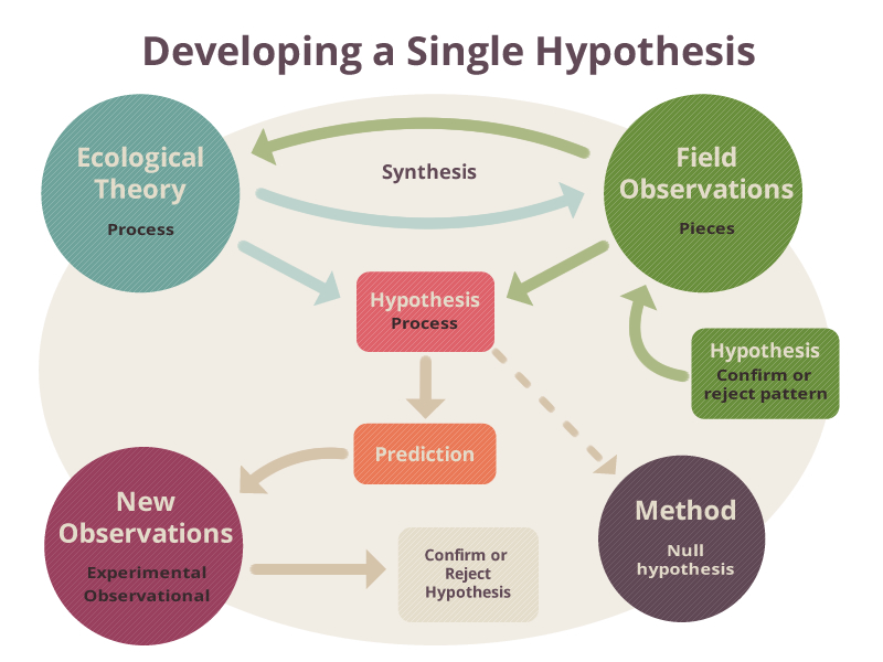 Developing a Single Hypothesis