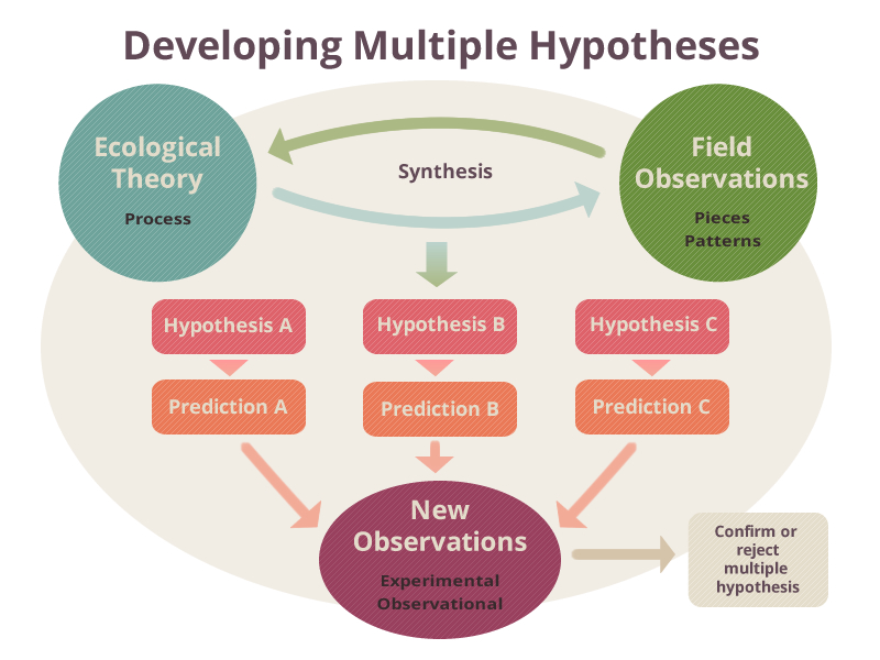 Developing Multiple Hypotheses